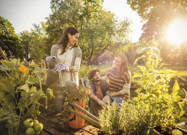 Robertino-Nikolic-.Sparda-1