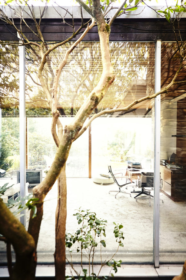 Robertino-Nikolic-AW-Magazin-Neutra-5092