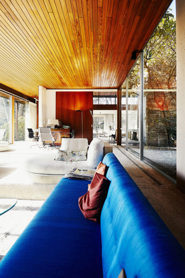 Robertino-Nikolic-AW-Magazin-Neutra-95091