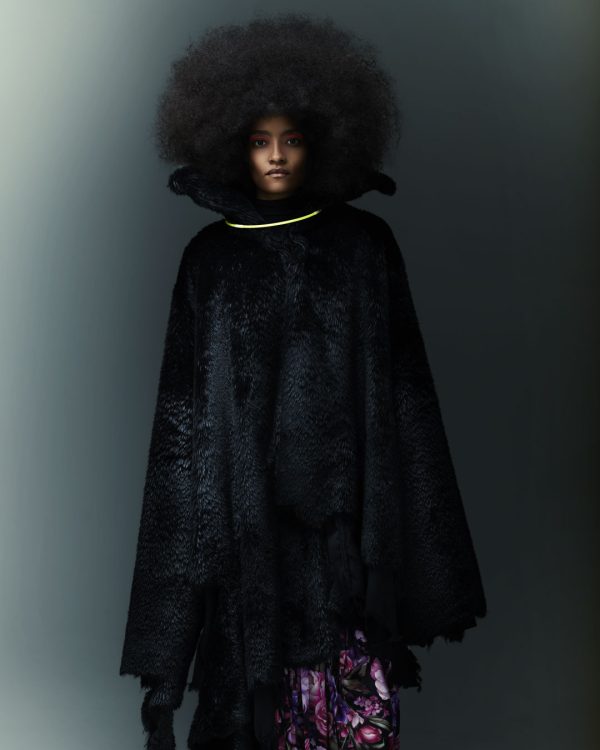 robertino_nikolic_20.09.2437241