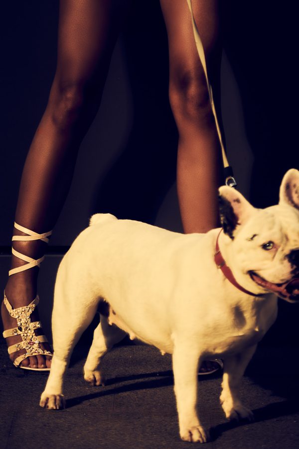 robertino_nikolic_RNS2703