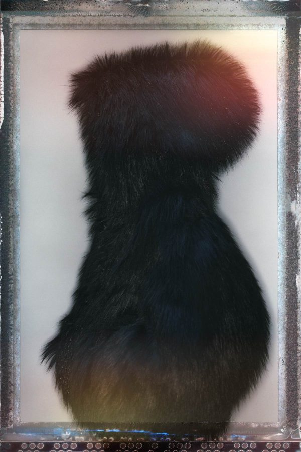 robertino_nikolic_65584