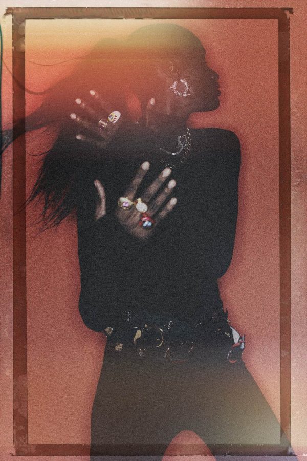 robertino_nikolic_65667-2