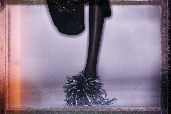 robertino_nikolic_65972