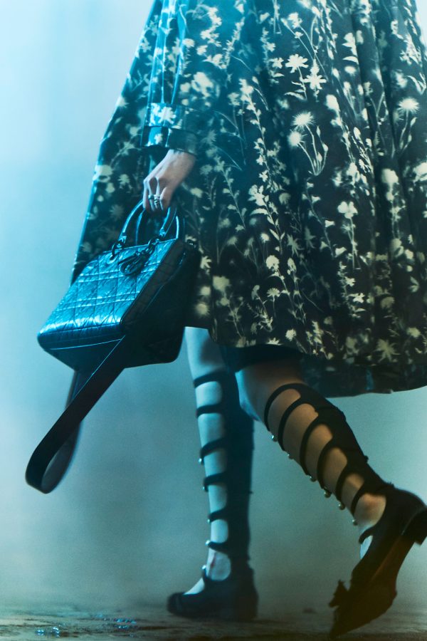 robertino_nikolic_0105